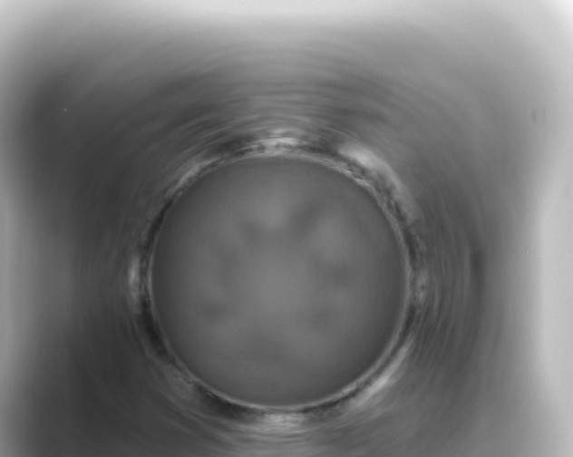 X0000089441353200706221222