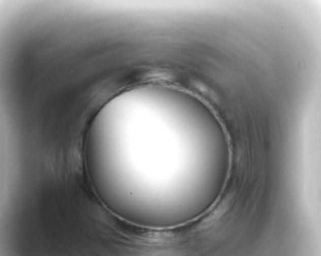 X0000089441354200706221222