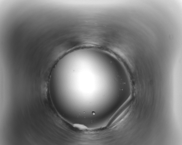 X0000089441355200706221222