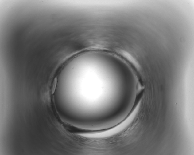 X0000089441356200706221222