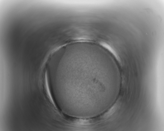 X0000089441357200706221222