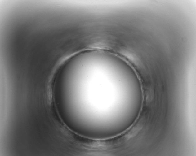 X0000089441358200706221221
