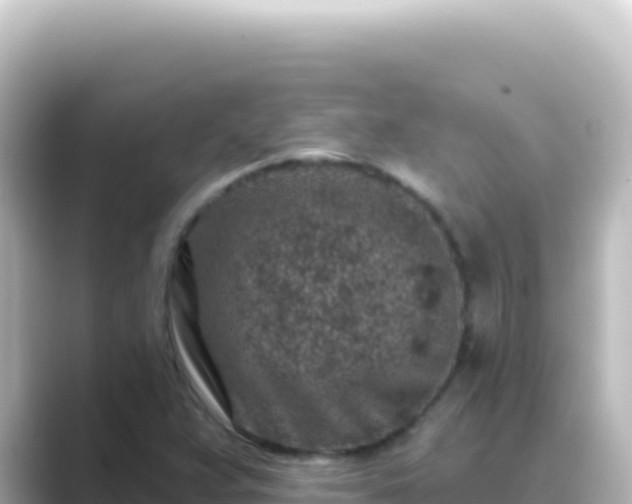 X0000089441359200706221221