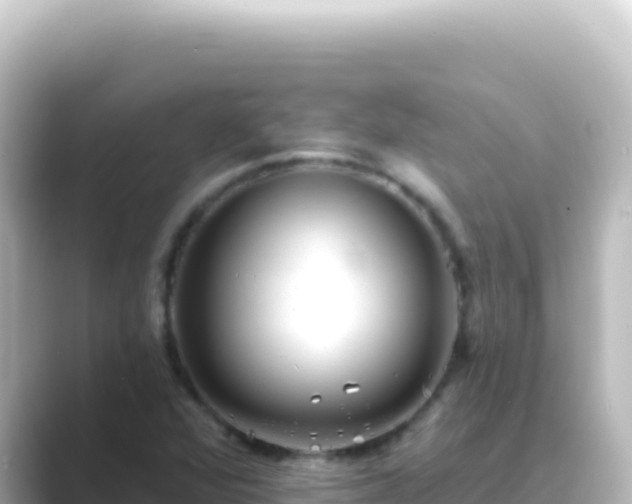 X0000089441360200706221221