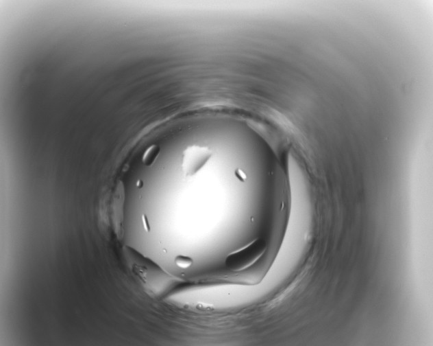 X0000089441361200706221221