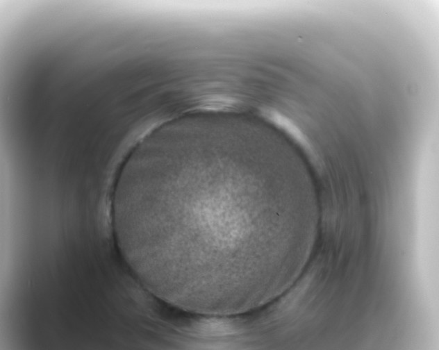 X0000089441362200706221221