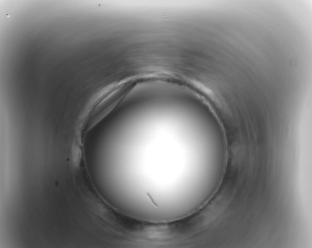 X0000089441363200706221221
