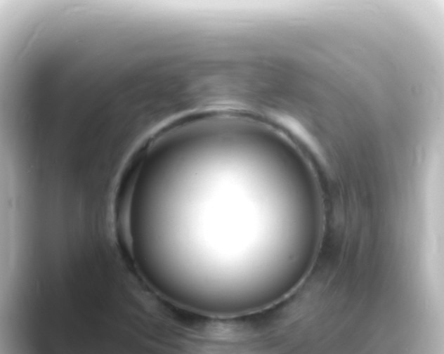 X0000089441364200706221221