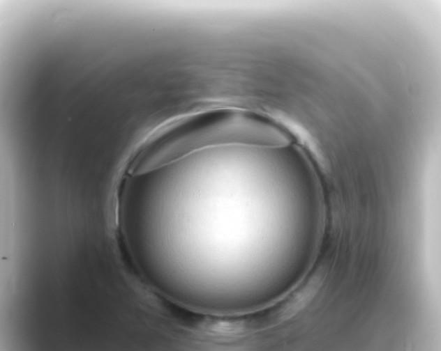 X0000089441365200706221221