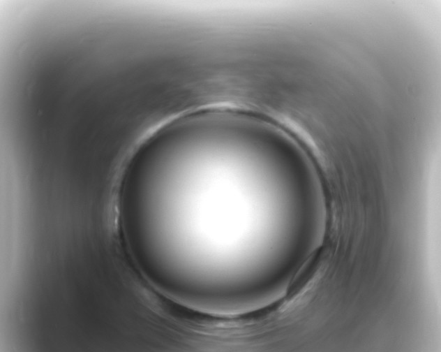 X0000089441367200706221221