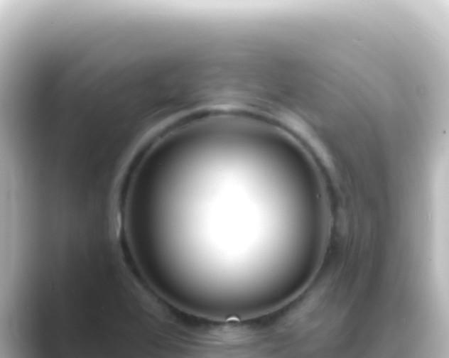 X0000089441368200706221221