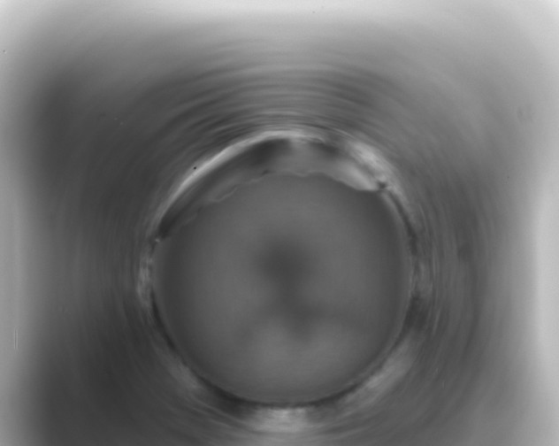 X0000089441369200706221221