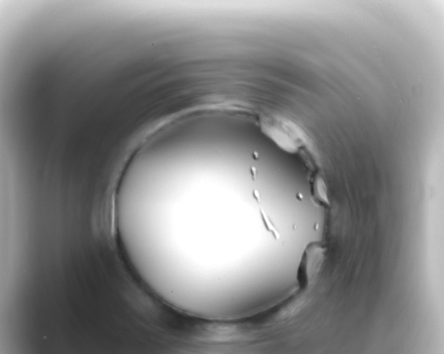 X0000089441371200706221221