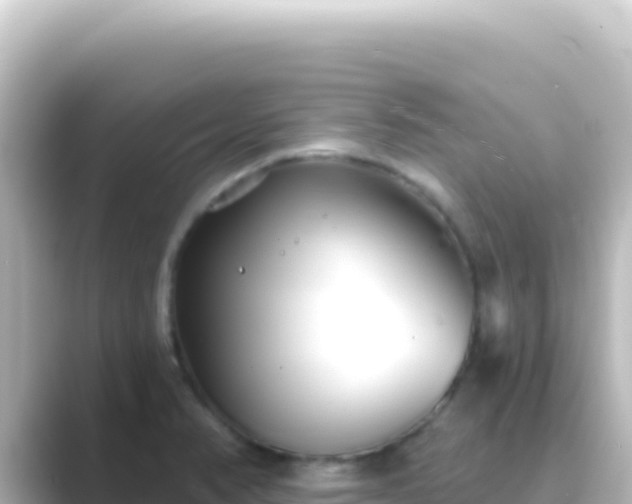 X0000089441374200706221221