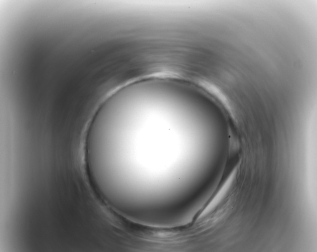 X0000089441375200706221221