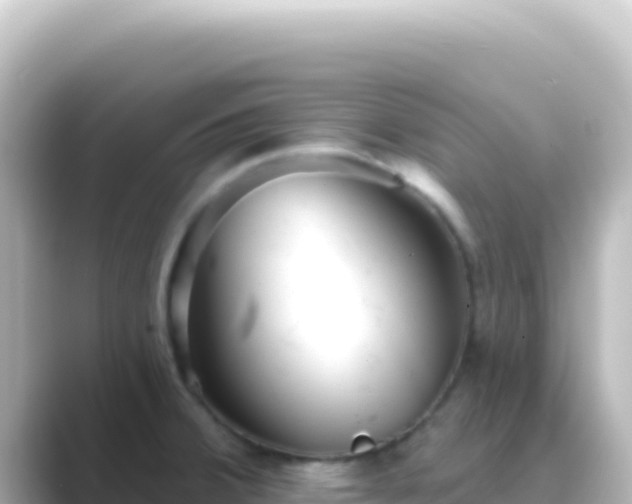 X0000089441380200706221221