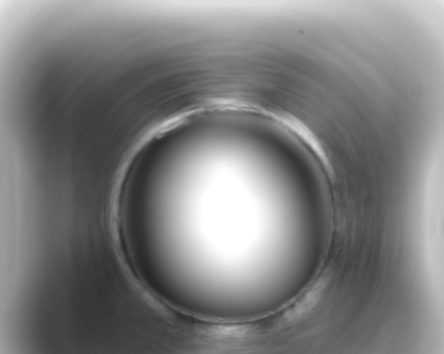 X0000089441381200706221221