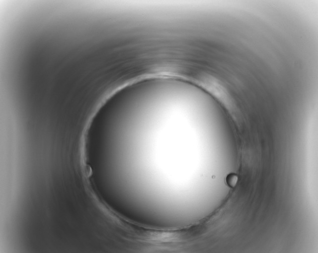 X0000089441382200706221221
