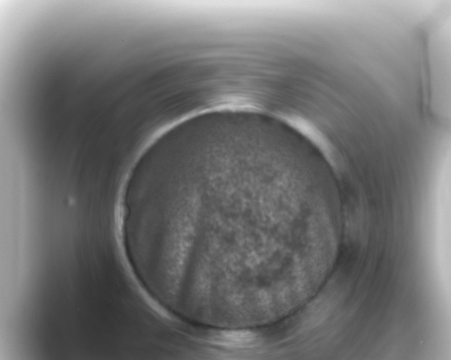 X0000089441383200706221221