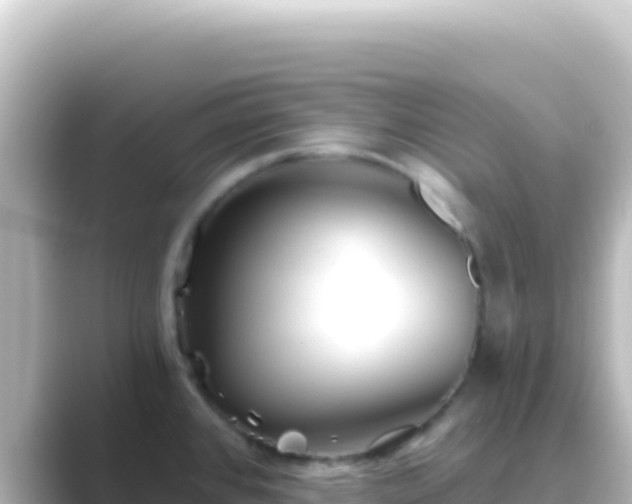 X0000089441384200706221221