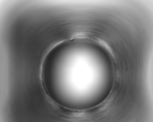 X0000089441386200706221221