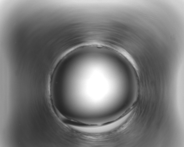 X0000089441388200706221221