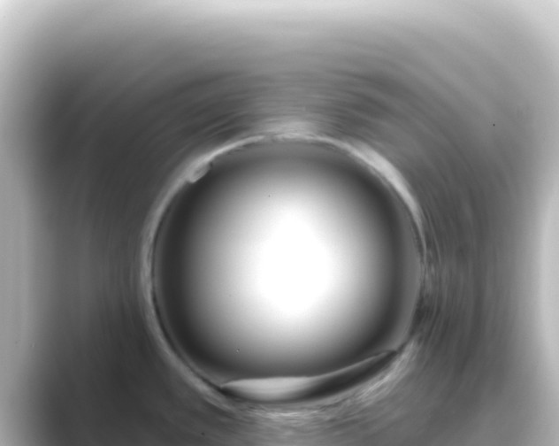 X0000089441389200706221221