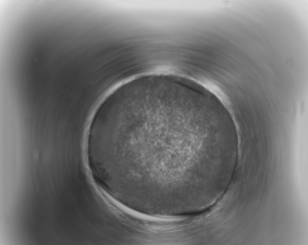 X0000089441392200706221221