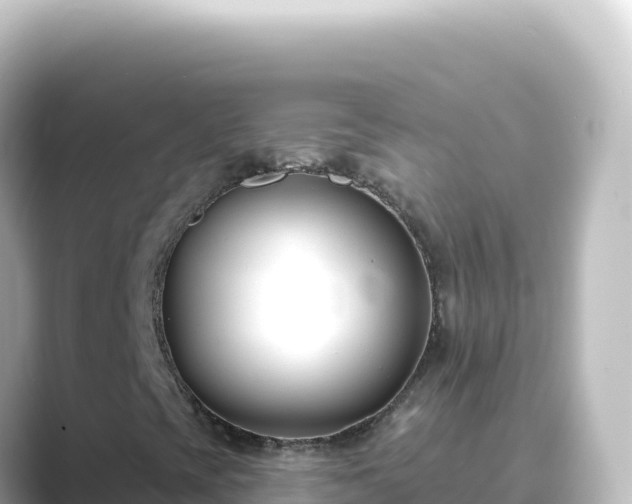 X0000089441393200706221221