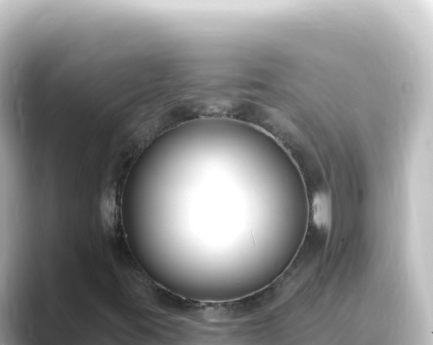 X0000089441395200706221221