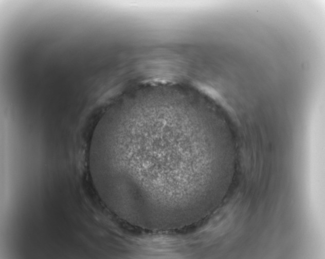X0000089441399200706221221