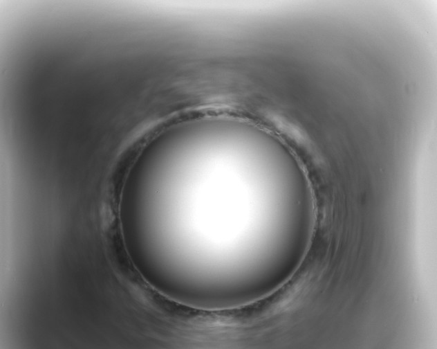 X0000089441400200706221221