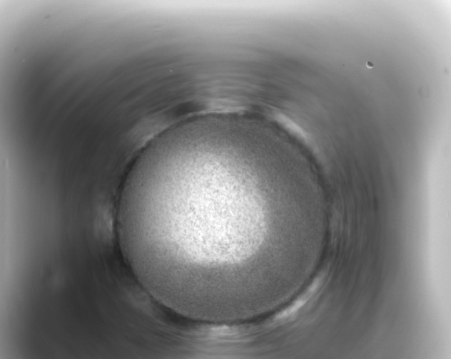 X0000089441401200706221221