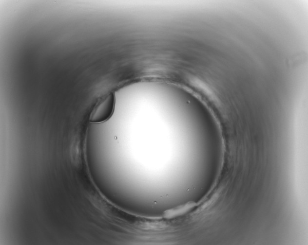 X0000089441403200706221221