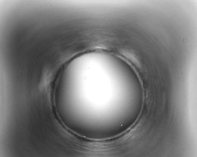 X0000089441404200706221221