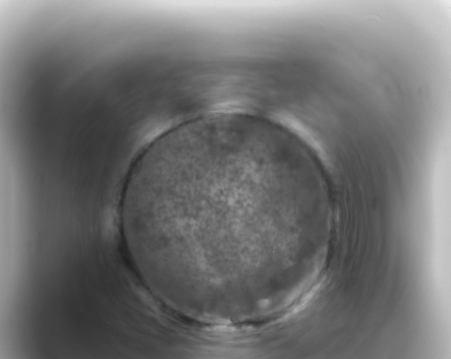 X0000089441405200706221221