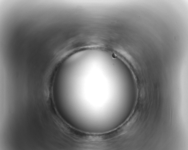 X0000089441407200706221221