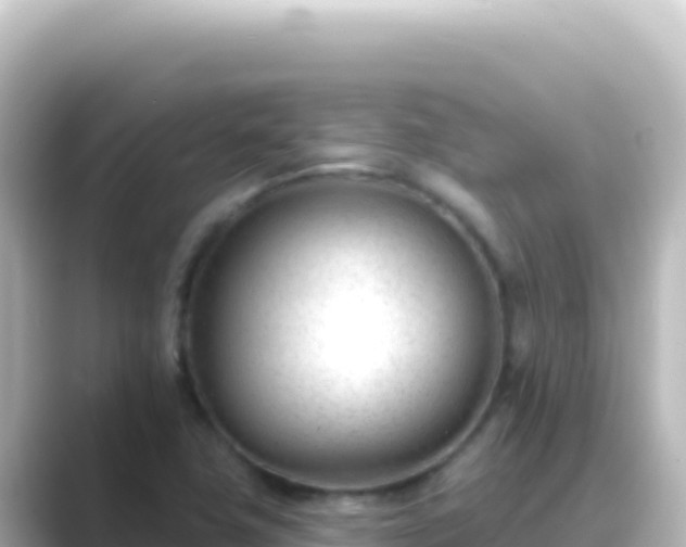 X0000089441411200706221221