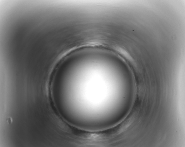 X0000089441412200706221221