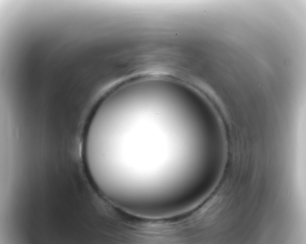X0000089441416200706221221