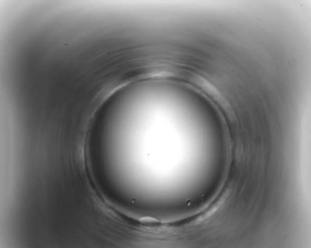 X0000089441417200706221221
