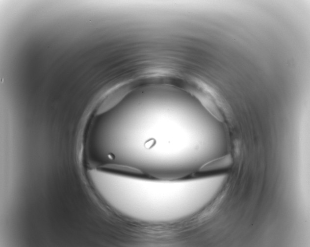 X0000089441418200706221221