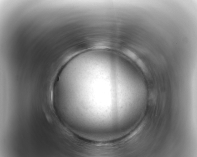 X0000089441419200706221221