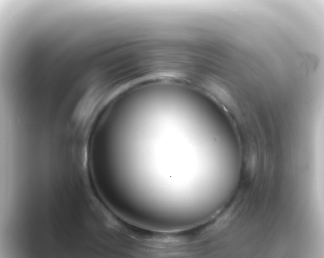 X0000089441420200706221221