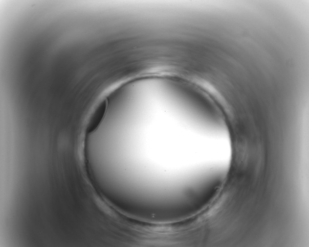 X0000089441421200706221221