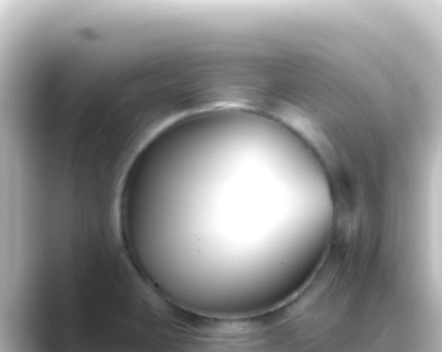 X0000089441423200706221221