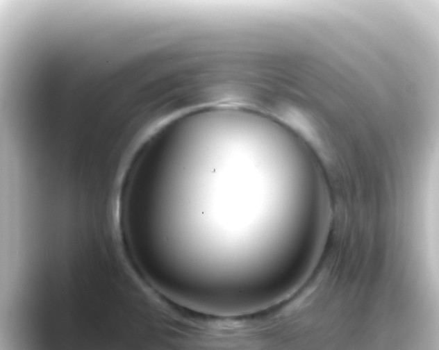 X0000089441424200706221221
