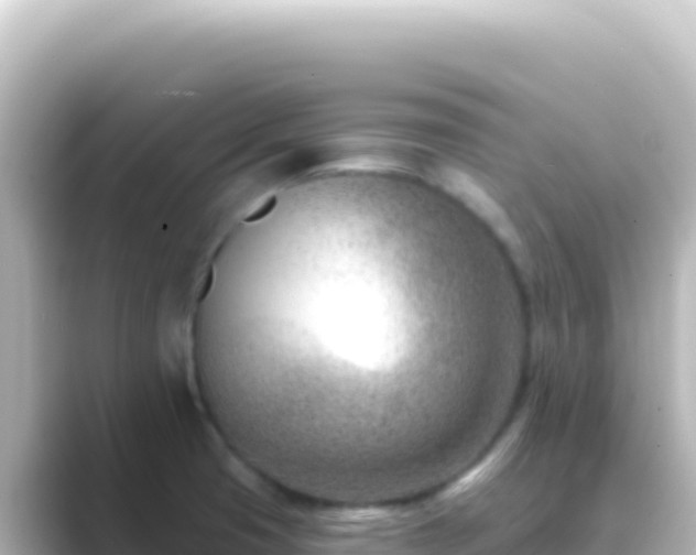 X0000089441425200706221221