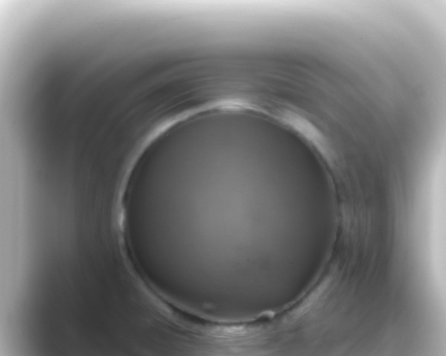 X0000089441428200706221221