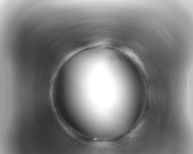 X0000089441429200706221221
